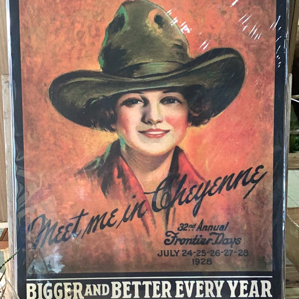 Meet Me in Cheyenne 1928 Poster