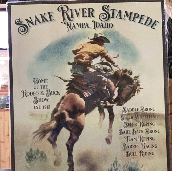 Snake River Stampede 1913 Poster