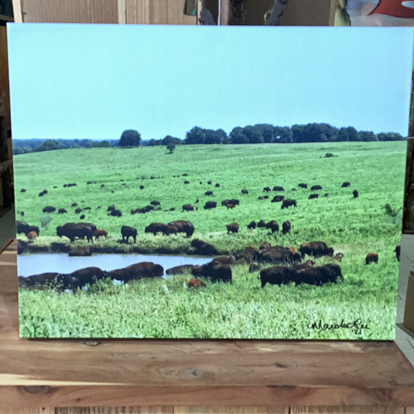 Herd of Buffalo Print by M. Lee