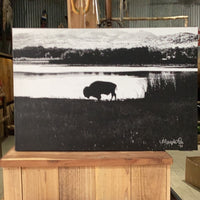 Black and White Single Buffalo Print By M. Lee