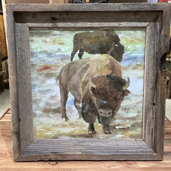Two Buffalo Water Color Poster Print w/frame
