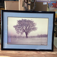 Tree Photo by Harvey Payne